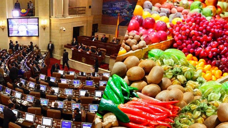 Aprobado proyecto de ley en Colombia que prohíbe botar alimentos aptos para el consumo humano