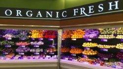 organic-1341558_960_720.jpg