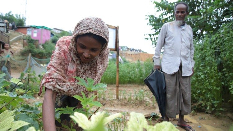 Landwirtschaft einer Rohingya-Frau in Bangladesch