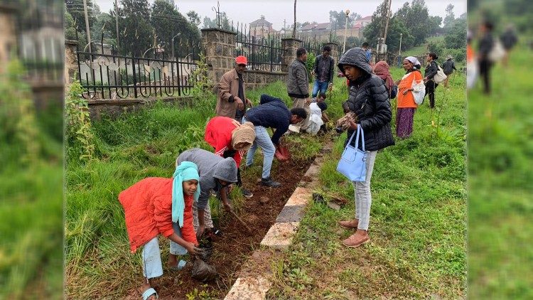 Etiopia: posadzono ponad 350 mln drzew