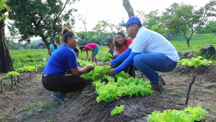 Agricoltura tradizionale  e sostenibile in El Salvador, promossa dal Programma Alimentare Mondiale