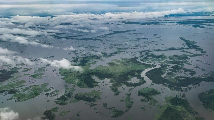Amazônia: vista aérea