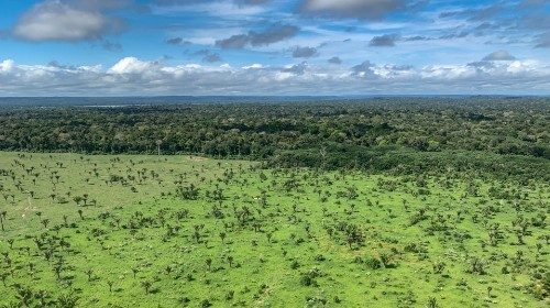 Amazzonia: un popolo straziato dalla pandemia e una terra divorata dall’agrobusiness 