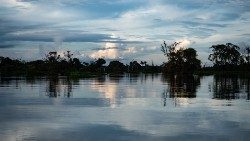 2019.08.09 fiume in Amazzonia 08.jpg