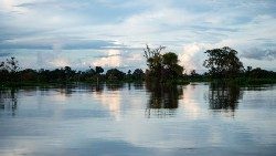 2019.08.09 fiume in Amazzonia 09.jpg