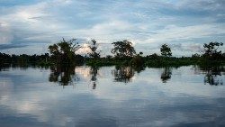 2019.08.09 fiume in Amazzonia 10.jpg