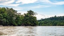 2019.08.09 fiume in Amazzonia 11.jpg