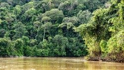 2019.08.09 fiume in Amazzonia 13.jpg