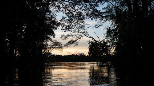 2019.08.09 fiume in Amazzonia 19.jpg