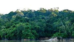 2019.08.09 foresta pluviale Amazzonia 01.jpg