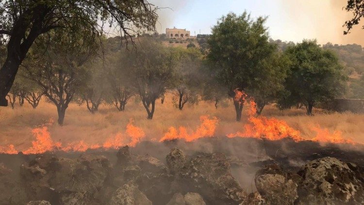 Flammen in der Südost-Türkei