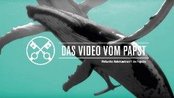Official Image - TPV 9 2019 - 8 DE - Der Schutz der Ozeane (1).jpg