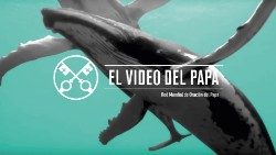 Official Image - TPV 9 2019 - 2 ES - La proteccion de los oceanos.jpg