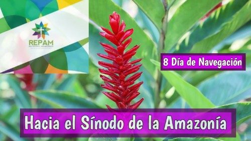 REPAM: Día 8 de navegación hacia el Sínodo de la Amazonía