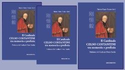 libro cardinale celso costantini 2.jpg