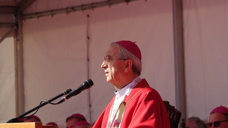 Zadarski nadbiskup Želimir Puljić