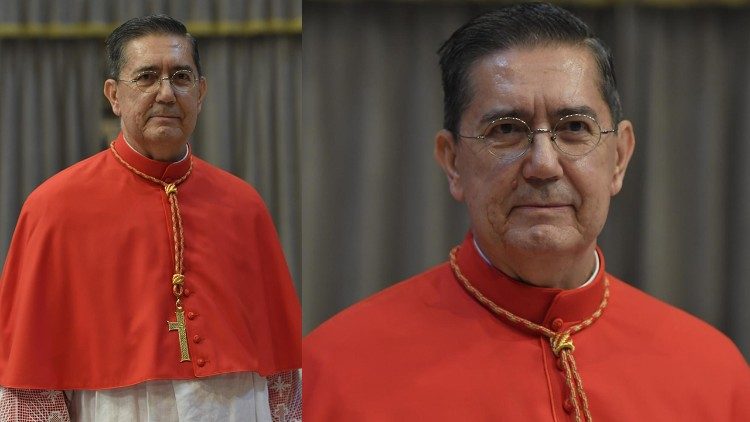 Il cardinale Miguel Ángel Ayuso Guixot, mccj – Presidente del Pontificio Consiglio per il Dialogo Interreligioso