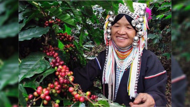 Thailandia: lavoratrice nella piantagione di caffé del progetto Doi Tung