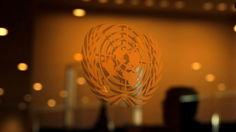 Naciones Unidas. 