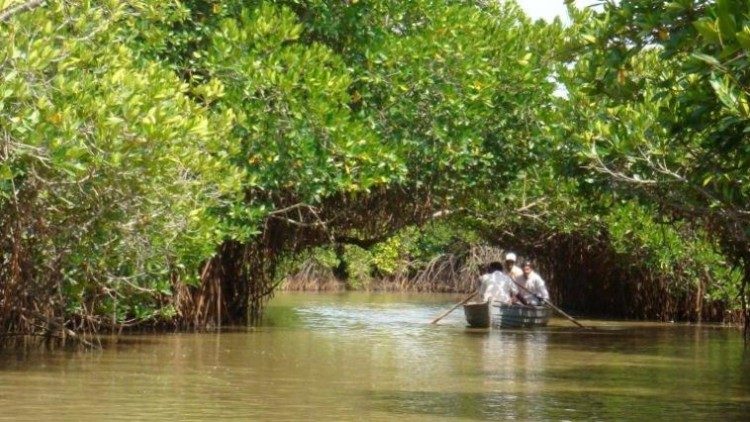 2019.12.30-Foresta-di-mangrovie-TamilnaduIndia.jpg