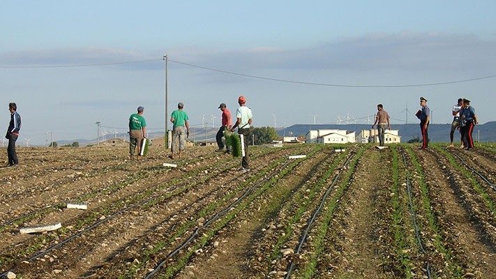 Người lao động đang tham gia vào dây chuyền sản xuất nông sản