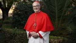 2019---Cardinal-Michael-Czerny-credit-Paul-Haring-2aem.jpg