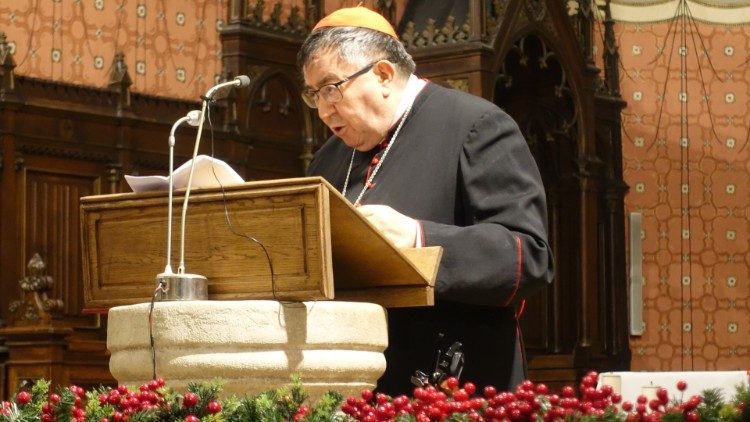 Vrhbosanski nadbiskup metropolit, kardinal Vinko Puljić