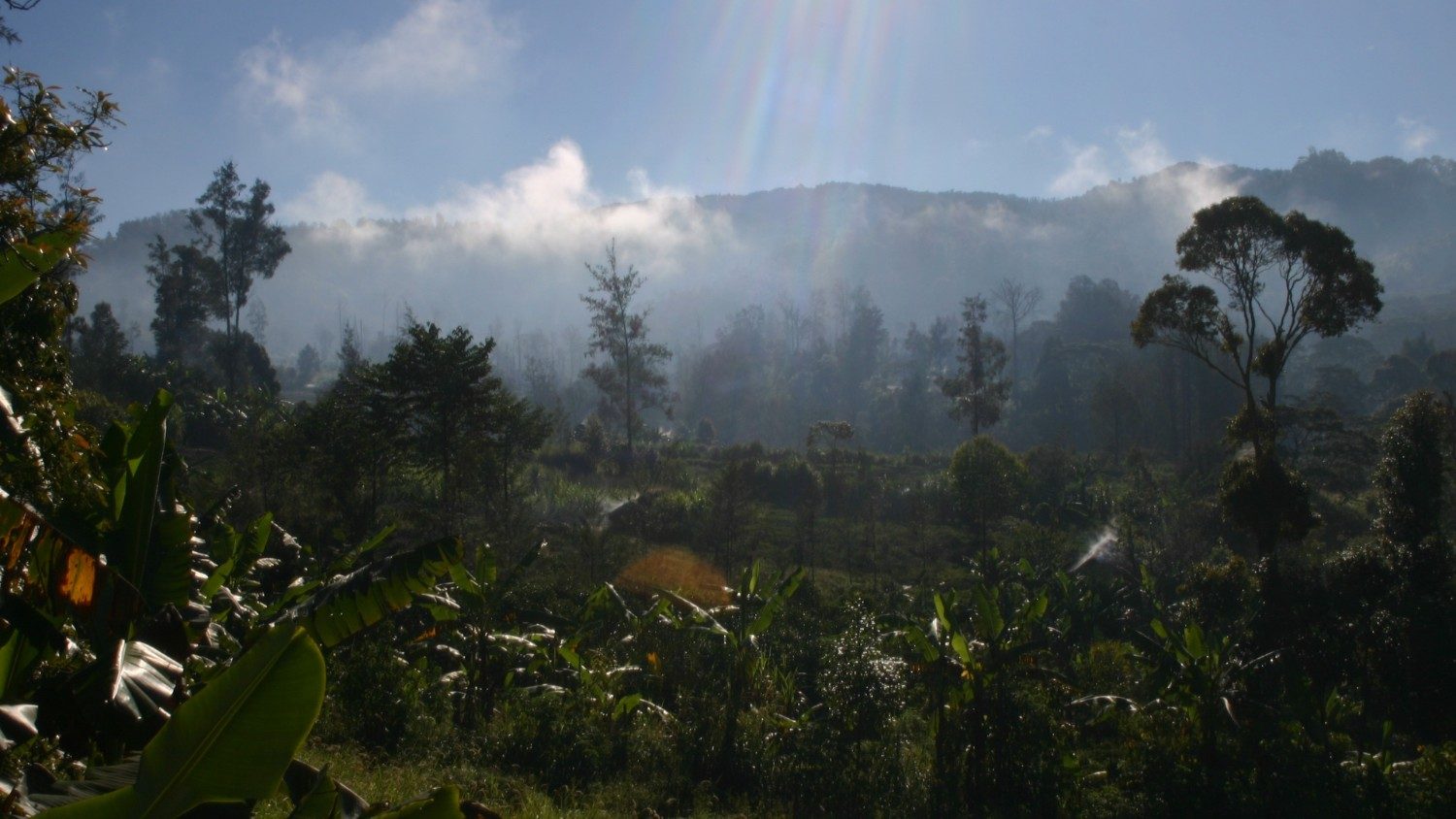 Papua Nuova Guinea, la Chiesa in difesa delle donne accusate di stregoneria - Vatican News