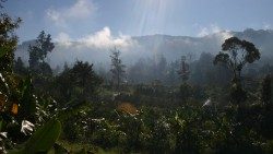 Papua-Nuova-Guinea-3.jpg