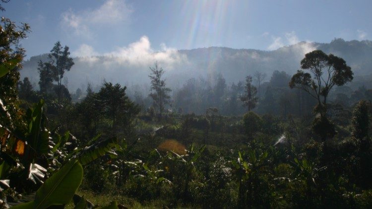 Un'immagine dell'isola di Papua Nuova Guinea 
