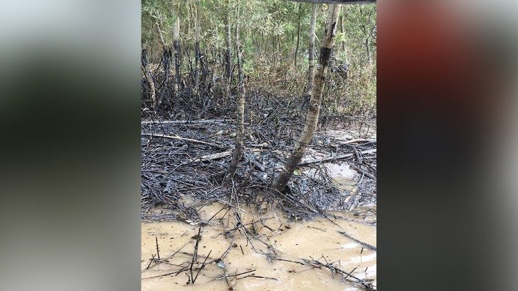 Contaminación en región de Aguarico, Francisco de Orellana por derrame de petróleo en el Río Coca