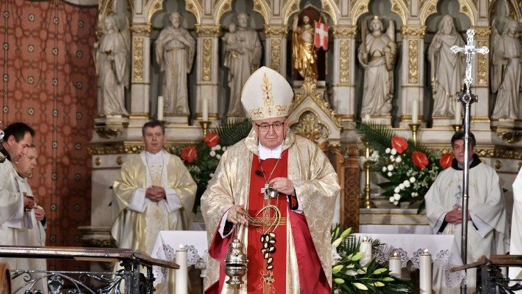 Nadbiskup metropolit brhbosanski, kardinal Vinko Puljić
