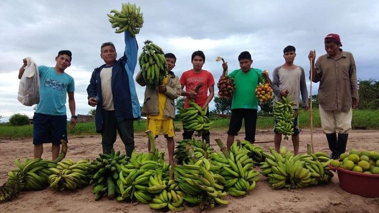 Campesinos recolectando bananas en el campo.