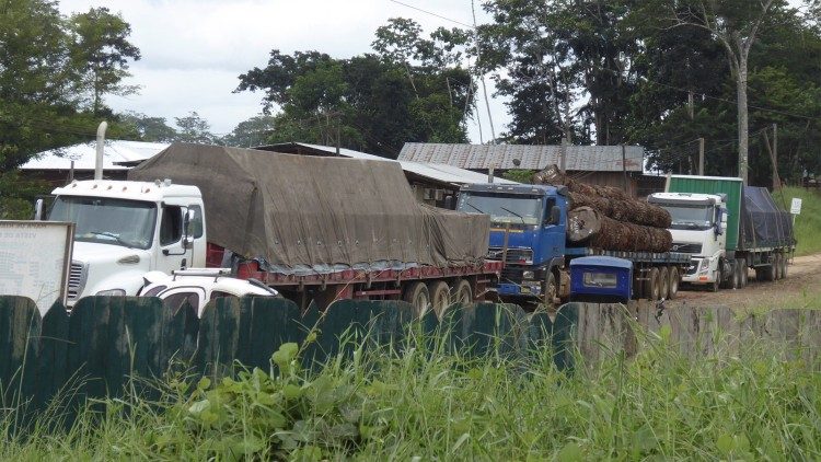 Camion carichi di legname frutto del disboscamento della Foresta Amazzonica