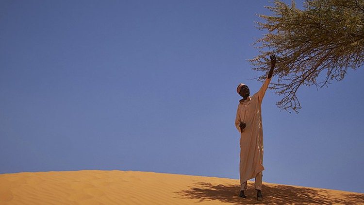 Laudato sì: Man on the outskirts of Diffa in the Republic of Niger picks leaves off a tree on a sand dune (Courtesy Caritas Internationalis)