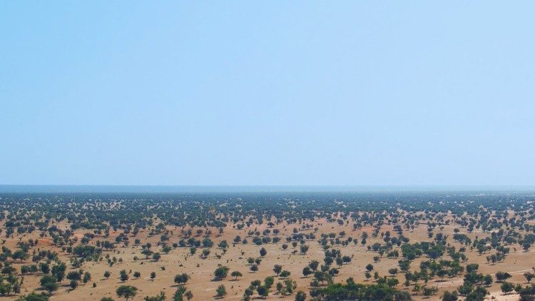Trees in the Sahel