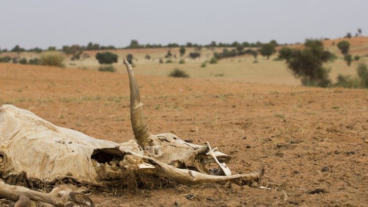Drought in the Sahel