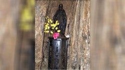 madonna-del-baobab-kerenAEM.jpg