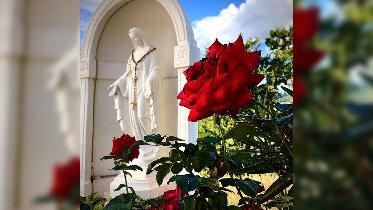 Maria e le rose, foto di Daniele Garofani