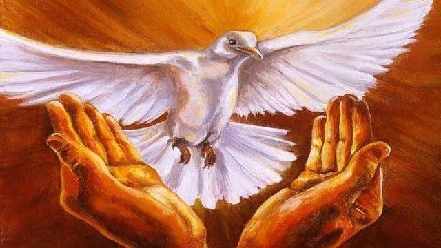 鴿子天主聖神的象徵