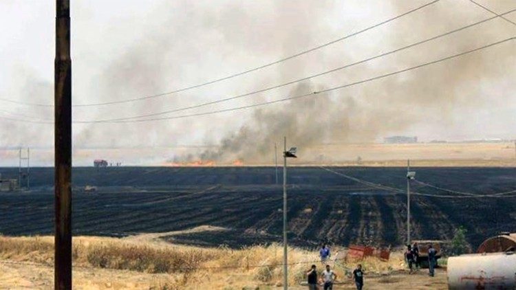 Piana di Ninive, oggi: bruciano i campi di grano degli agricoltori cristiani