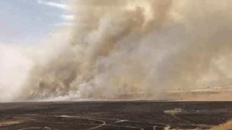 Incêndios nos campos cultivados por cristãos em Mosul