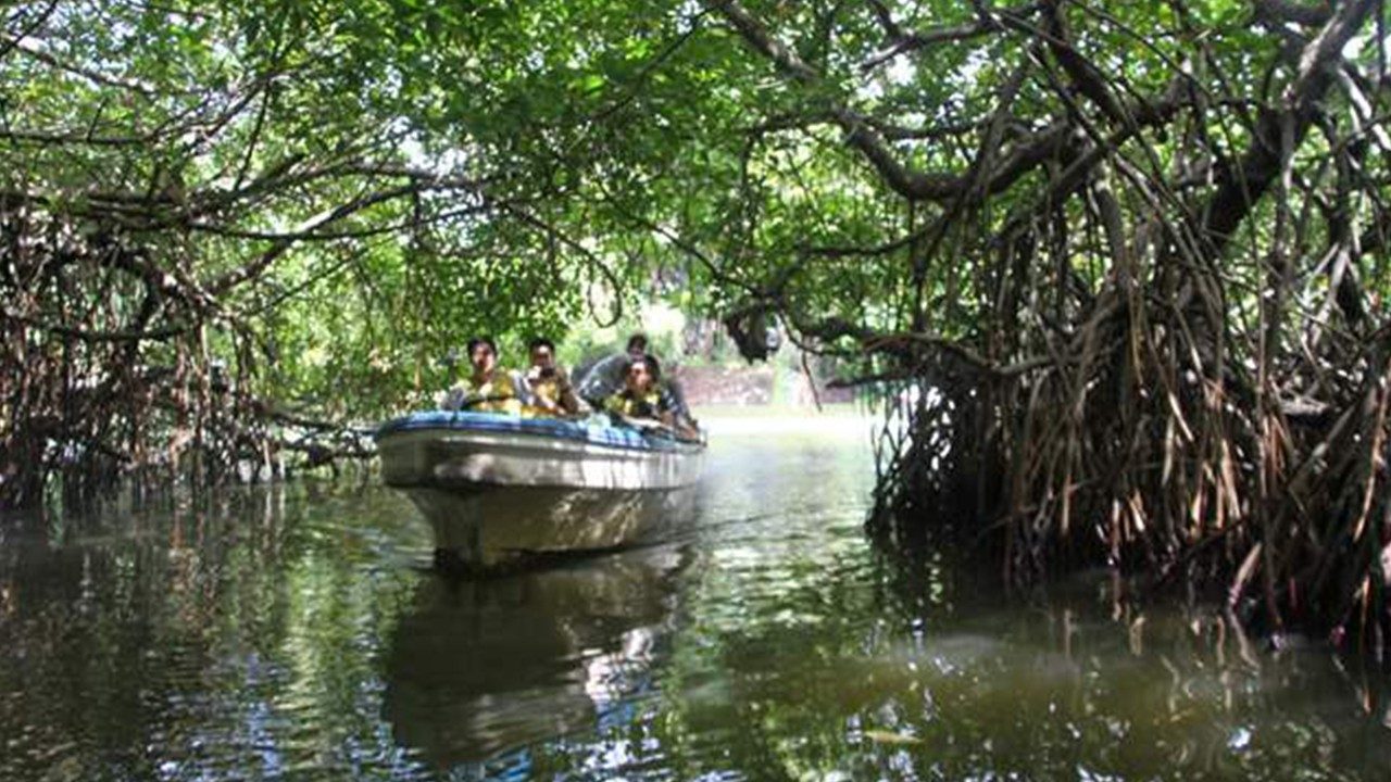 Sri Lanka Church opposes government takeover of wetlands - Vatican News