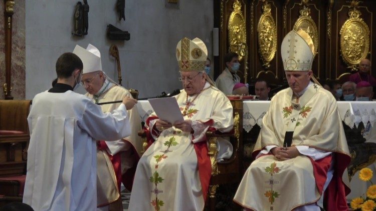 Kardinal Franc Rode med pridigo