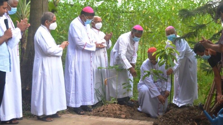 2020.08.18 - Vescovi del Bangladesh piantano un albero-Bangladesh bishops tree planting