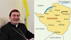 The-Apostolic-Nuncio-to-Zimbabwe-Archbishop-Paolo-Rudelli.jpg