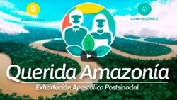 QUERIDA-AMAZONIA-SUBIRaem2.jpg