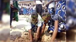 Zambia--_Diocese-of-Livingstone-youth-planting-trees-1.jpg