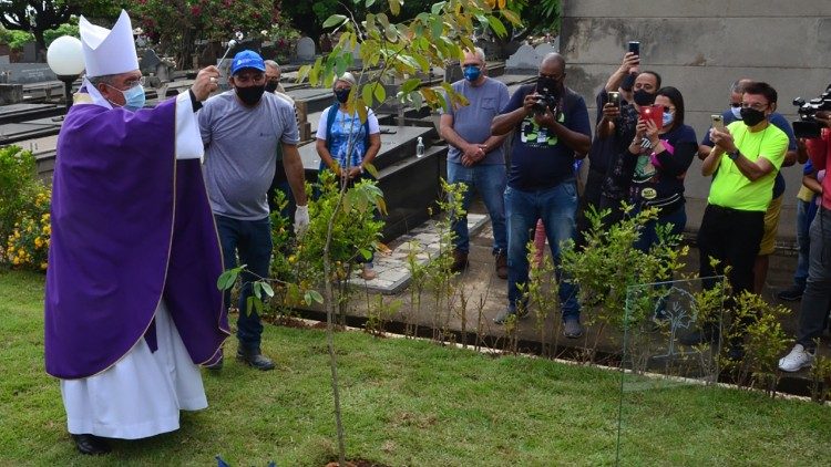 Dom Orani incentiva a preservação ambiental plantando uma muda de jequitibá-açu no Jardim in Memorian