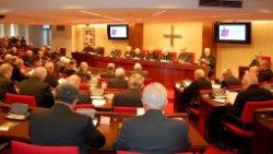 plenaria-vescovi-spagnoli.jpg